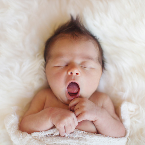 newborn: svea