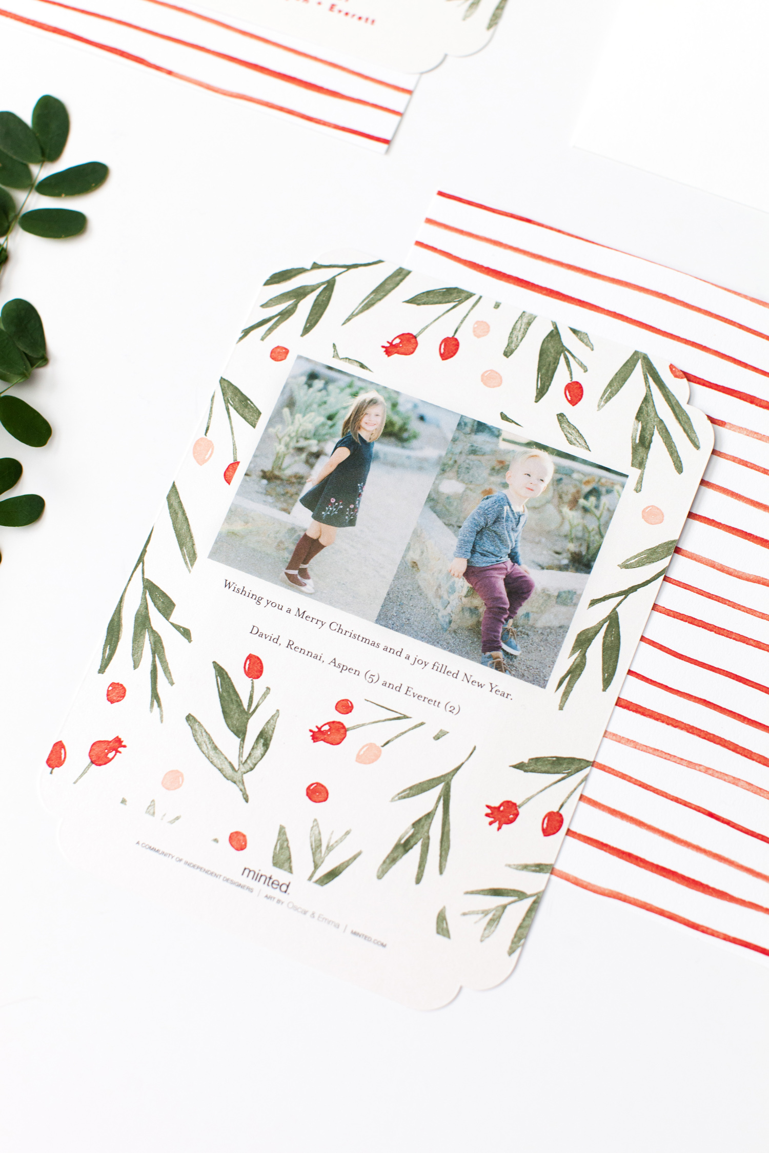 minted winter harvest family holiday card ten22 studio