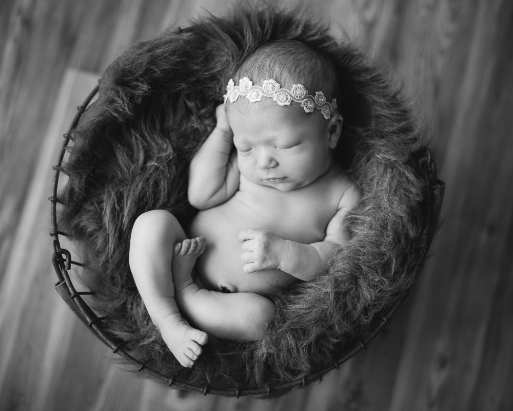 newborn: madison