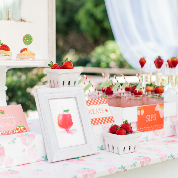 Minted Strawberry Stand at Mom 2.0