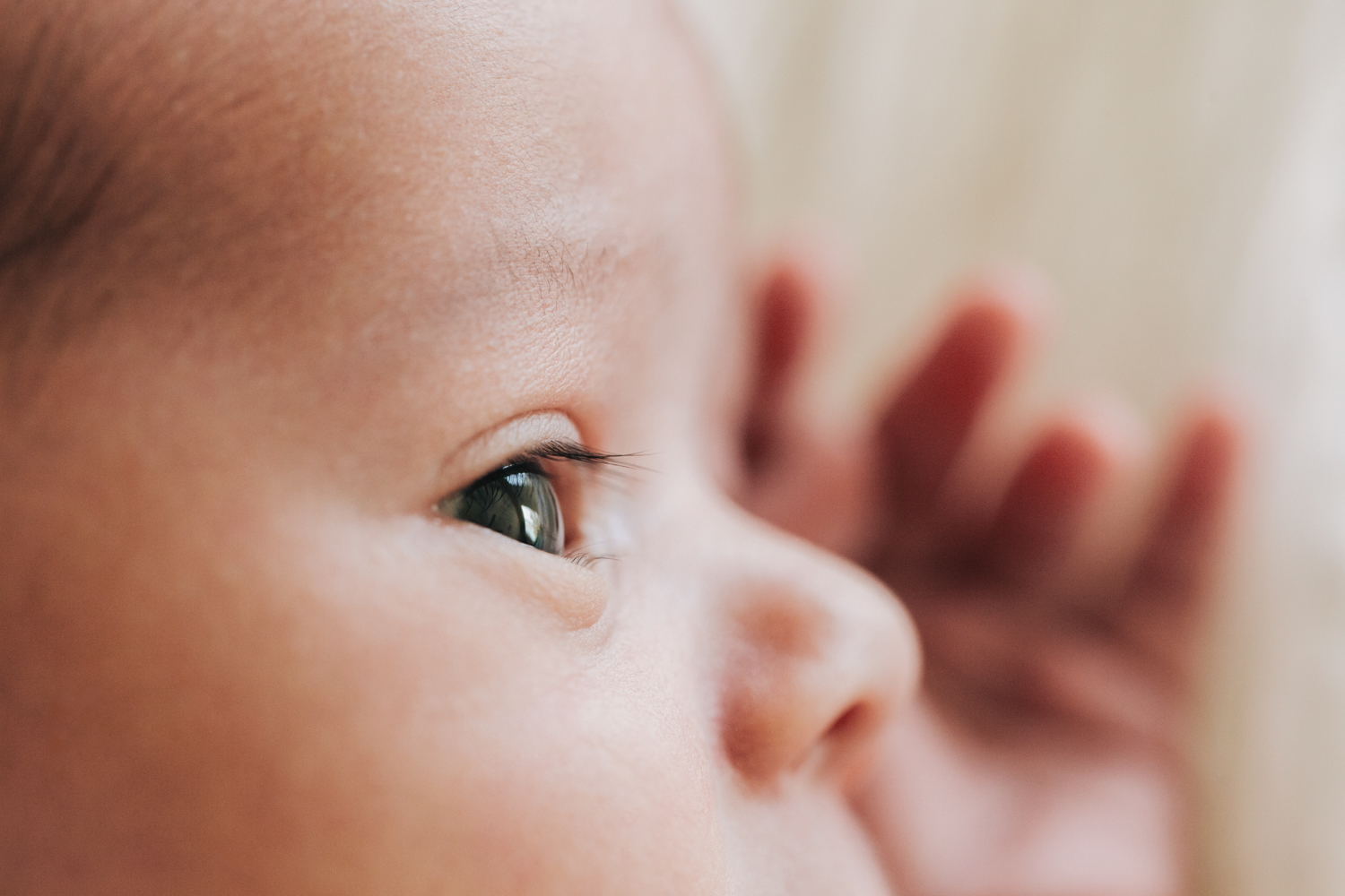 Big Family Newborn Home Photography