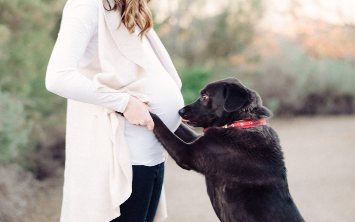 Lifestyle Maternity: Stephanie + Nick