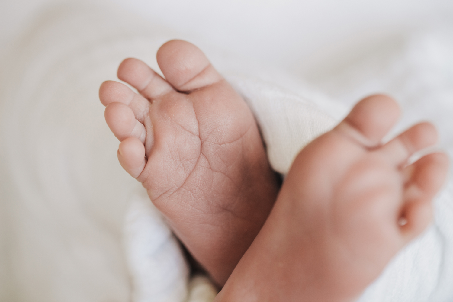 Big Family Newborn Home Photography